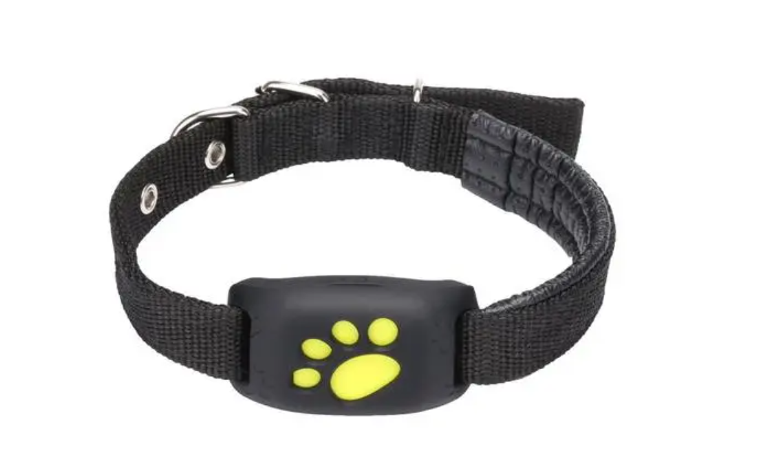 寵物定位器 寵物定位器